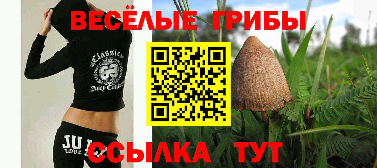 Галлюциногенные грибы мицелий Усть-Илимск